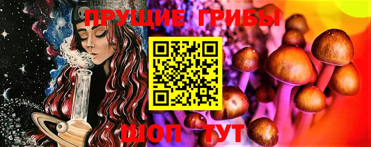 как найти наркотики  Галлюциногенные грибы мицелий  Вход с VPN  Новочебоксарск 